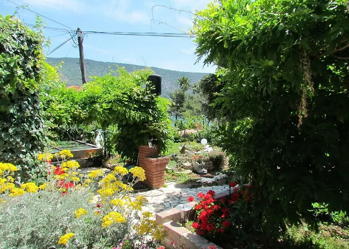 Bura & Jugo, Cres, Without Stress דירה