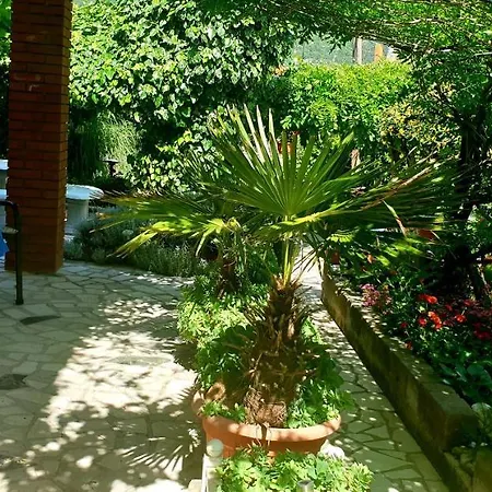 公寓 Bura & Jugo, Cres, Without Stress