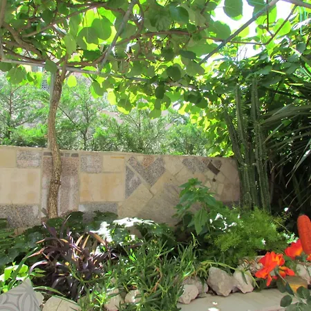 Apartment Apartments Bura & Jugo, Cres, Without Stress *