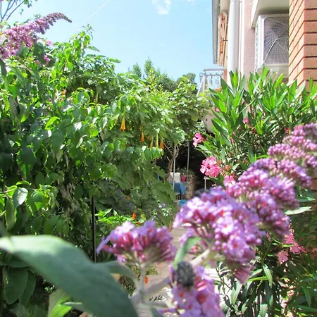 Apartments Bura & Jugo, Cres, Without Stress
