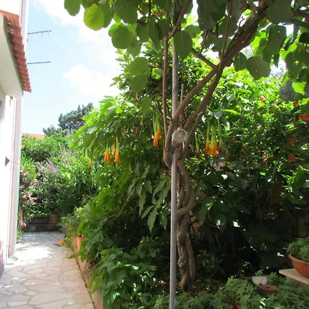 Apartments Bura & Jugo, Cres, Without Stress Cres