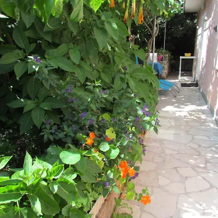 Apartments Bura & Jugo, Cres, Without Stress Apartment