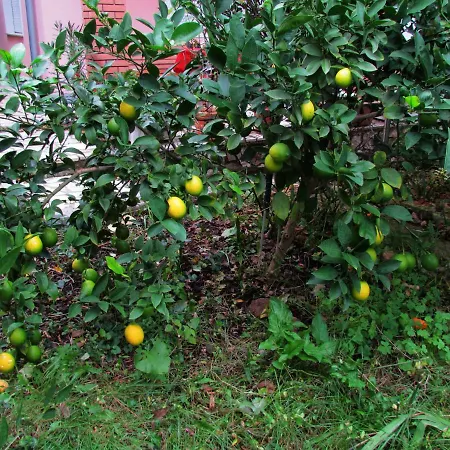 Bura & Jugo, Cres, Without Stress * 茨雷斯