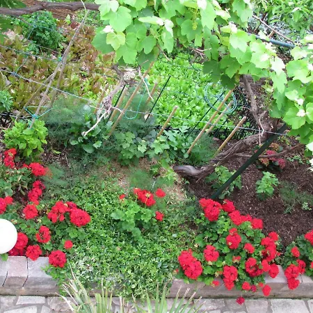 公寓 Bura & Jugo, Cres, Without Stress *