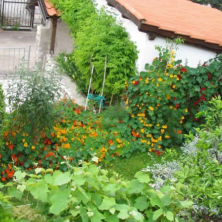 Bura & Jugo, Cres, Without Stress * 茨雷斯