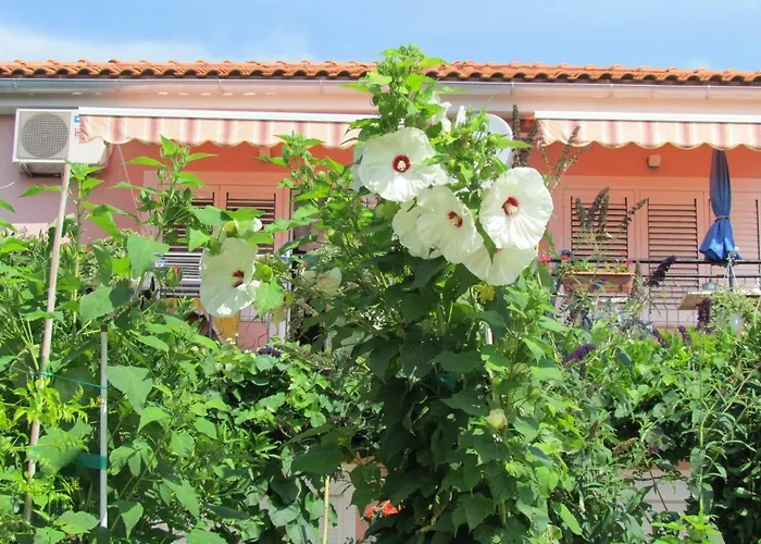 Bura & Jugo, Cres, Without Stress Appartement Cres