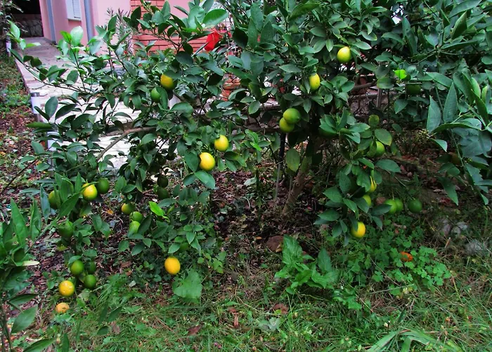 Bura & Jugo, Cres, Without Stress * Cres